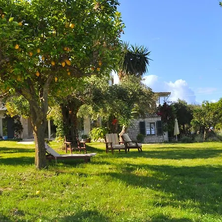 House Lemoni, C - Pelekas, Corfu Apartman Pélekasz