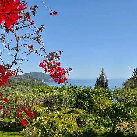 House Lemoni, C - Pelekas, Corfu * Πέλεκας